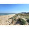 Sad pomarańczowy 350m od plaży w Cullera, Walencja